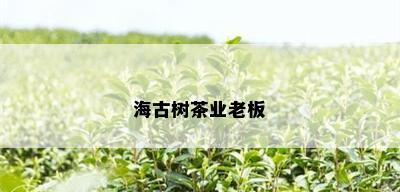 海古树茶业老板