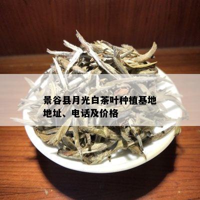 景谷县月光白茶叶种植基地地址、电话及价格