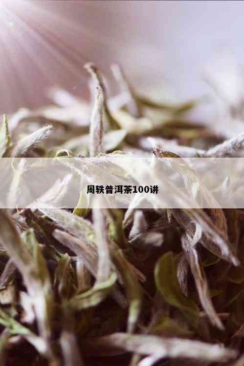 周轶普洱茶100讲