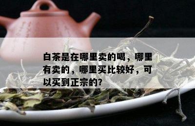 白茶是在哪里卖的喝，哪里有卖的，哪里买比较好，可以买到正宗的？