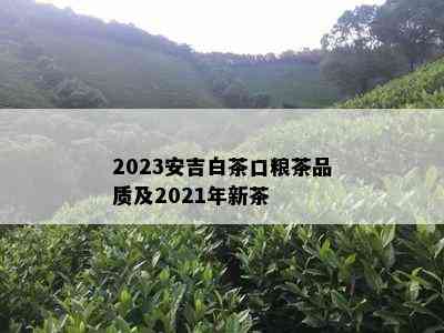 2023安吉白茶口粮茶品质及2021年新茶