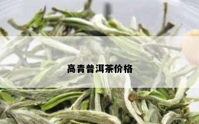 高青普洱茶价格