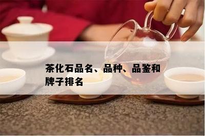 茶化石品名、品种、品鉴和牌子排名