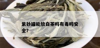 紫砂罐能放白茶吗有吗安全？