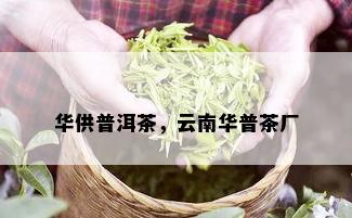 华供普洱茶，云南华普茶厂