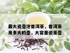 更大瓷壶泡普洱茶，普洱茶用多大的壶，大容量瓷茶壶