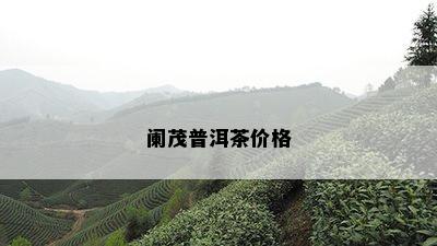 阑茂普洱茶价格