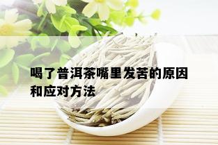 喝了普洱茶嘴里发苦的原因和应对方法