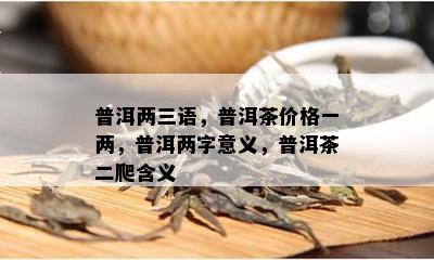 普洱两三语，普洱茶价格一两，普洱两字意义，普洱茶二爬含义