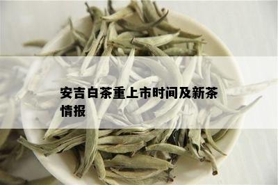 安吉白茶重上市时间及新茶情报