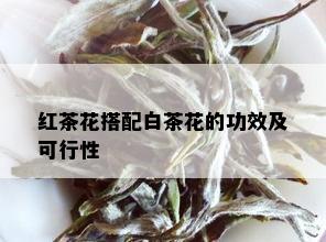 红茶花搭配白茶花的功效及可行性