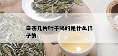 白茶几片叶子喝的是什么样子的