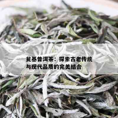 瓮基普洱茶：探索古老传统与现代品质的完美结合