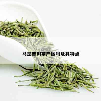 马是普洱茶产区吗及其特点