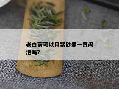 老白茶可以用紫砂壶一直闷泡吗？