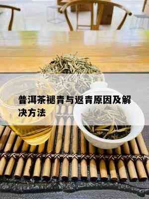 普洱茶褪青与返青原因及解决方法