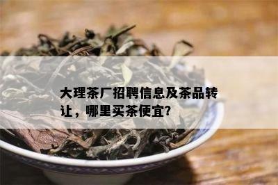 大理茶厂招聘信息及茶品转让，哪里买茶便宜？