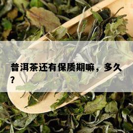 普洱茶还有保质期嘛，多久？