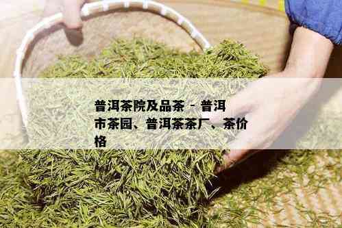 普洱茶院及品茶 - 普洱市茶园、普洱茶茶厂、茶价格