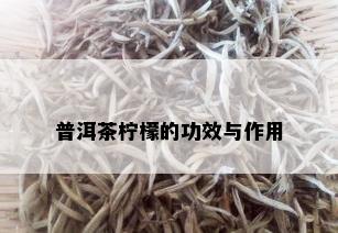 普洱茶柠檬的功效与作用