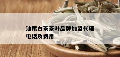 汕尾白茶茶叶品牌加盟代理电话及费用