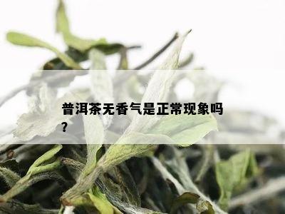 普洱茶无香气是正常现象吗？