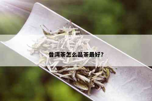 普洱茶怎么品茶更好?