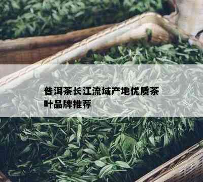 普洱茶长江流域产地优质茶叶品牌推荐