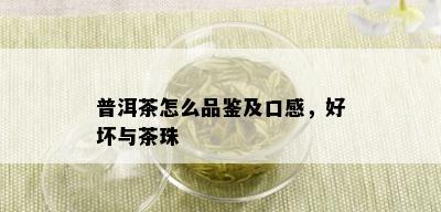 普洱茶怎么品鉴及口感，好坏与茶珠