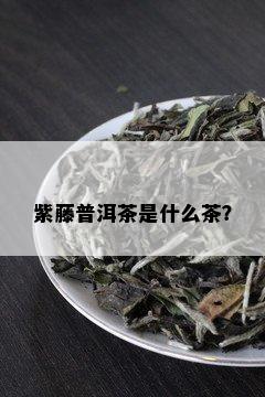 紫藤普洱茶是什么茶？