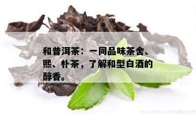 和普洱茶：一同品味茶舍、熙、朴茶，了解和型白的醇香。