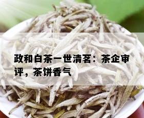 政和白茶一世清茗：茶企审评，茶饼香气