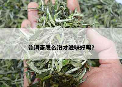 普洱茶怎么泡才滋味好喝？