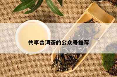 共享普洱茶的公众号推荐