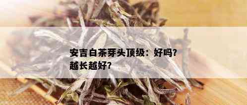 安吉白茶芽头顶级：好吗？越长越好？