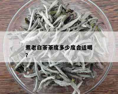 煮老白茶茶度多少度合适喝？