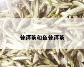 普洱茶和色普洱茶