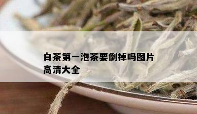 白茶之一泡茶要倒掉吗图片高清大全