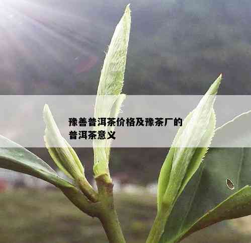 豫善普洱茶价格及豫茶厂的普洱茶意义