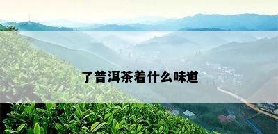 了普洱茶着什么味道