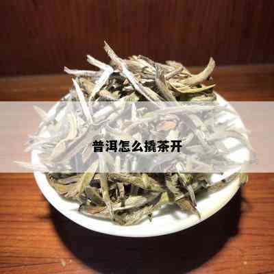 普洱怎么撬茶开