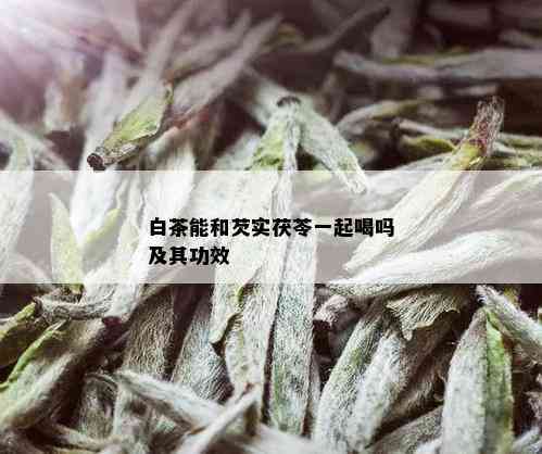 白茶能和芡实茯苓一起喝吗及其功效