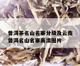 普洱茶名山名寨分级及云南普洱名山名寨高清图片