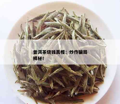 普洱茶烧钱真相：炒作骗局揭秘！