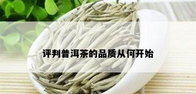 评判普洱茶的品质从何开始