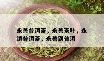 永善普洱茶，永善茶叶，永镇普洱茶，永善到普洱