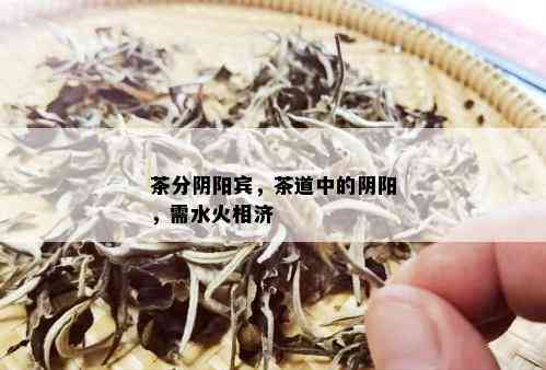 茶分阴阳宾，茶道中的阴阳，需水火相济