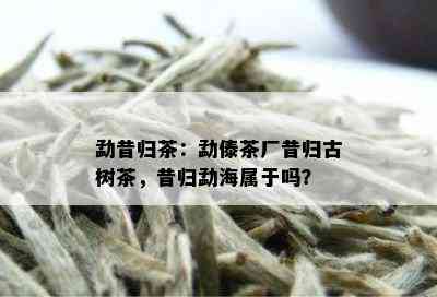 勐昔归茶：勐傣茶厂昔归古树茶，昔归勐海属于吗？