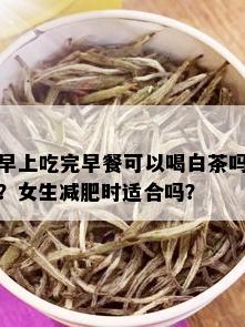 早上吃完早餐可以喝白茶吗？女生减肥时适合吗？