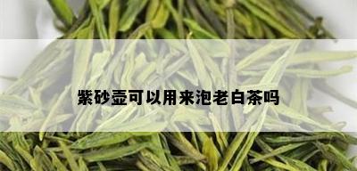 紫砂壶可以用来泡老白茶吗